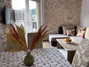 Отель Apartment Dragan  Будва